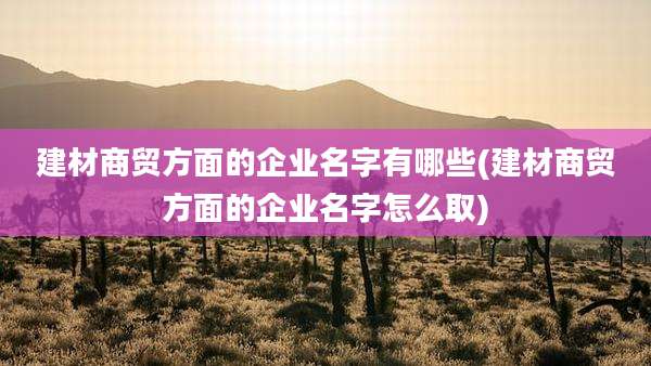 建材商贸方面的企业名字有哪些(建材商贸方面的企业名字怎么取)