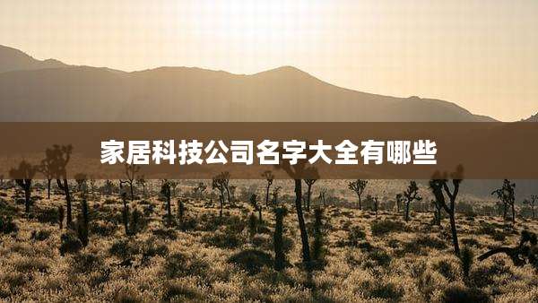 家居科技公司名字大全有哪些