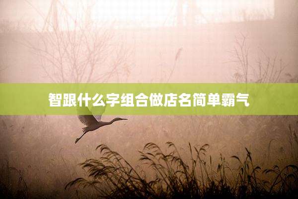 智跟什么字组合做店名简单霸气