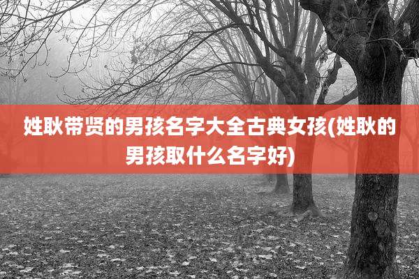 姓耿带贤的男孩名字大全古典女孩(姓耿的男孩取什么名字好)