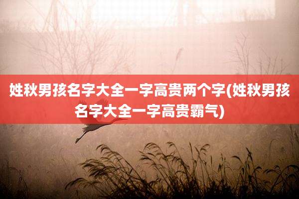 姓秋男孩名字大全一字高贵两个字(姓秋男孩名字大全一字高贵霸气)