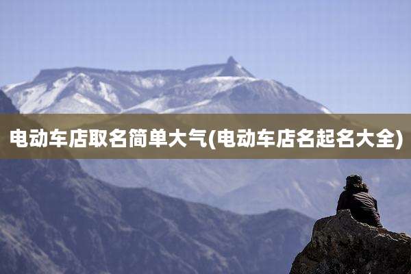 电动车店取名简单大气(电动车店名起名大全)