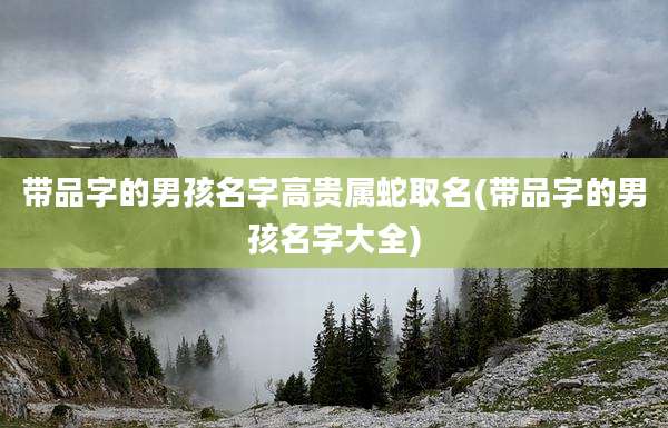 带品字的男孩名字高贵属蛇取名(带品字的男孩名字大全)