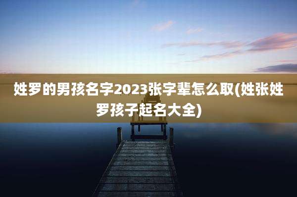 姓罗的男孩名字2023张字辈怎么取(姓张姓罗孩子起名大全)