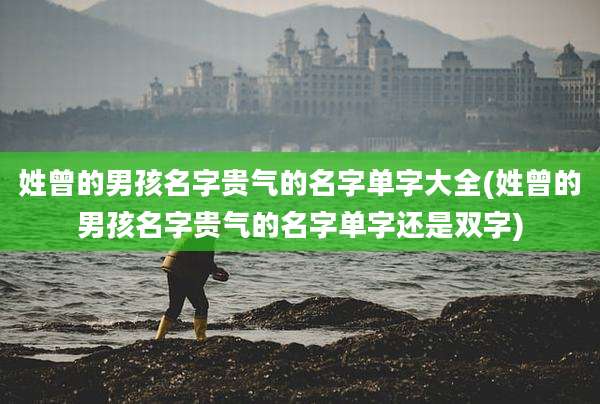 姓曾的男孩名字贵气的名字单字大全(姓曾的男孩名字贵气的名字单字还是双字)