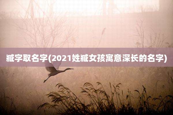 臧字取名字(2021姓臧女孩寓意深长的名字)