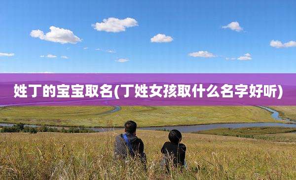 姓丁的宝宝取名(丁姓女孩取什么名字好听)