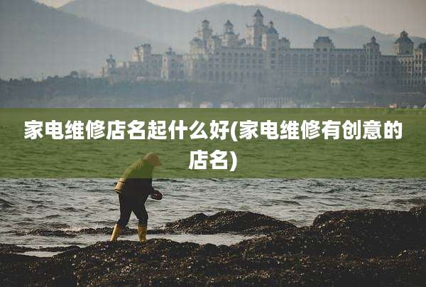 家电维修店名起什么好(家电维修有创意的店名)