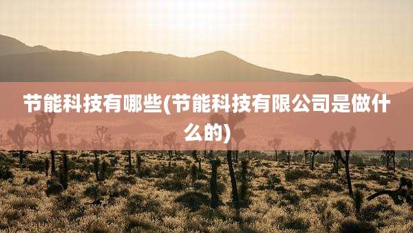 节能科技有哪些(节能科技有限公司是做什么的)