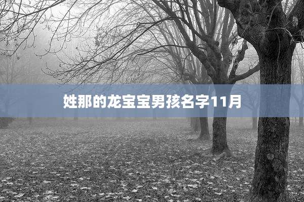 姓那的龙宝宝男孩名字11月