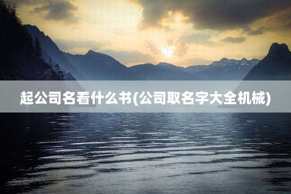起公司名看什么书(公司取名字大全机械)