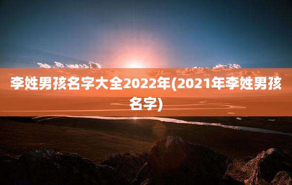 李姓男孩名字大全2022年(2021年李姓男孩名字)