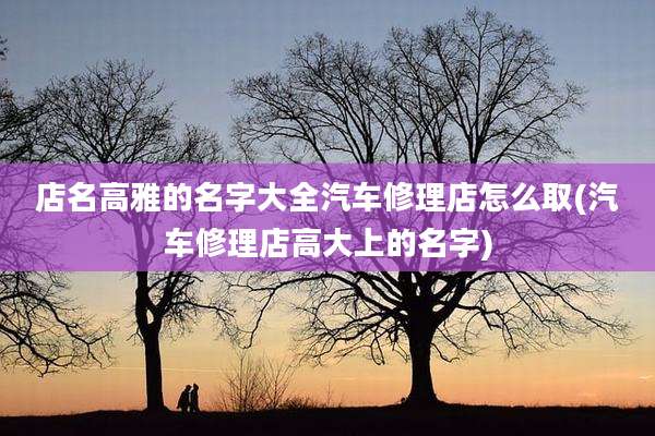 店名高雅的名字大全汽车修理店怎么取(汽车修理店高大上的名字)