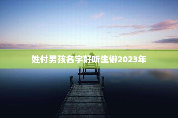 姓付男孩名字好听生僻2023年