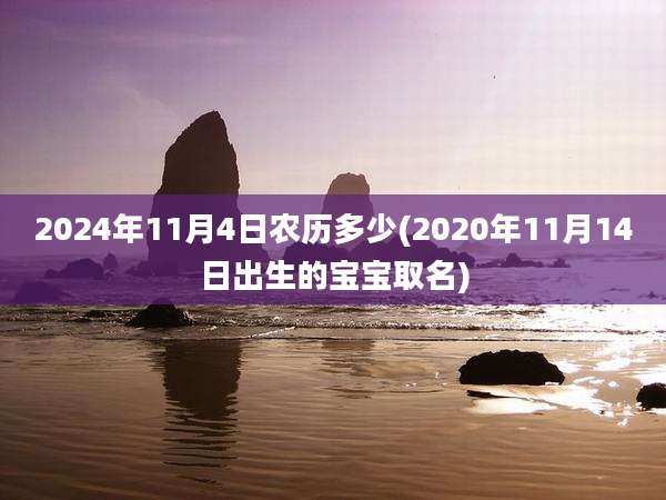 2024年11月4日农历多少(2020年11月14日出生的宝宝取名)