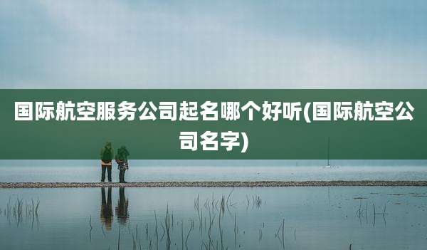 国际航空服务公司起名哪个好听(国际航空公司名字)