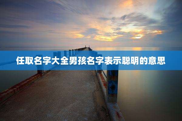 任取名字大全男孩名字表示聪明的意思