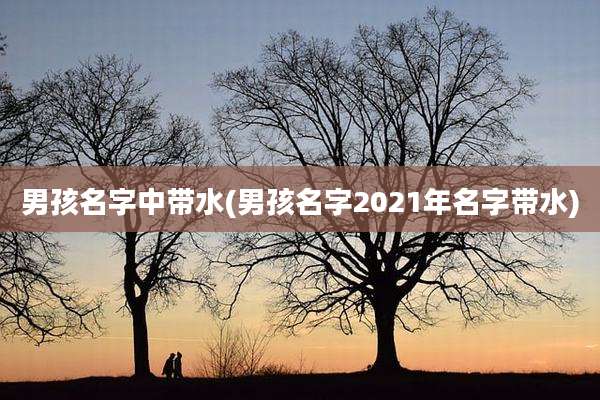男孩名字中带水(男孩名字2021年名字带水)