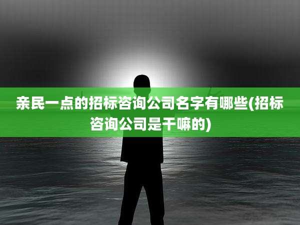 亲民一点的招标咨询公司名字有哪些(招标咨询公司是干嘛的)