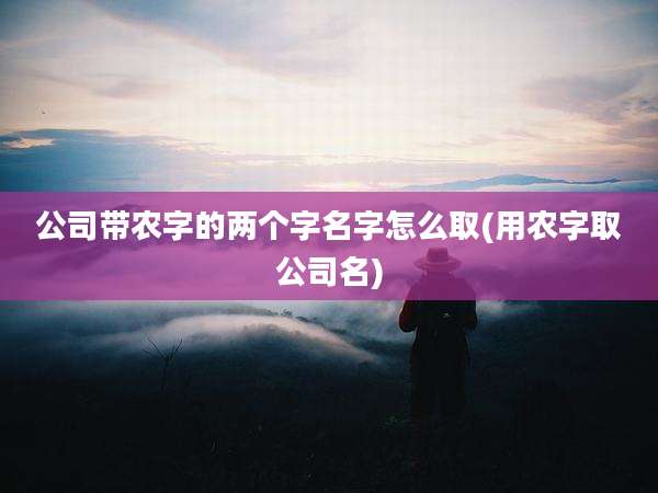 公司带农字的两个字名字怎么取(用农字取公司名)