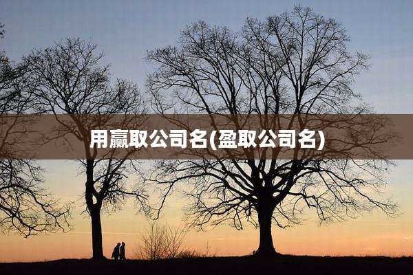 用赢取公司名(盈取公司名)