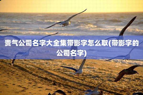 贵气公司名字大全集带影字怎么取(带影字的公司名字)