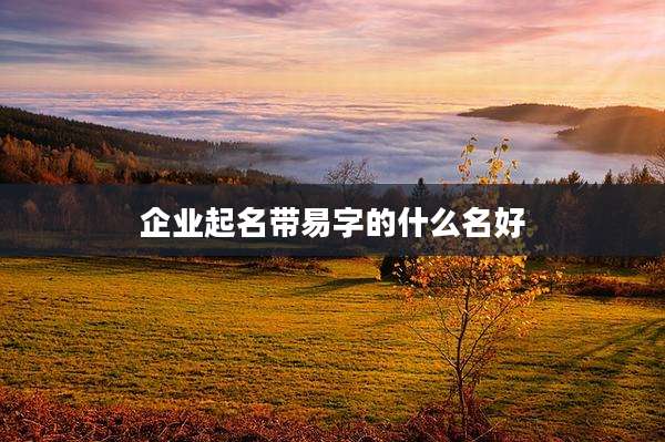 企业起名带易字的什么名好