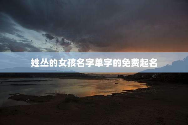 姓丛的女孩名字单字的免费起名