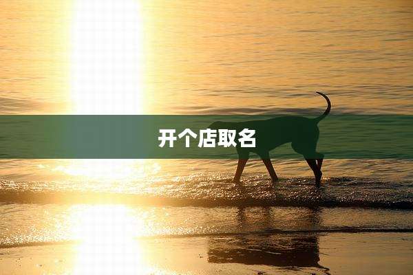 开个店取名