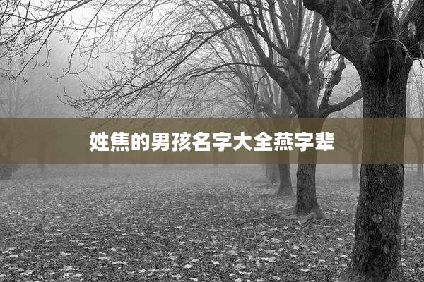 姓焦的男孩名字大全燕字辈