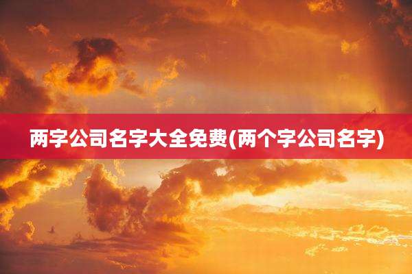 两字公司名字大全免费(两个字公司名字)