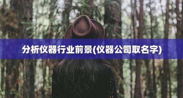 分析仪器行业前景(仪器公司取名字)