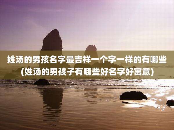 姓汤的男孩名字最吉祥一个字一样的有哪些(姓汤的男孩子有哪些好名字好寓意)