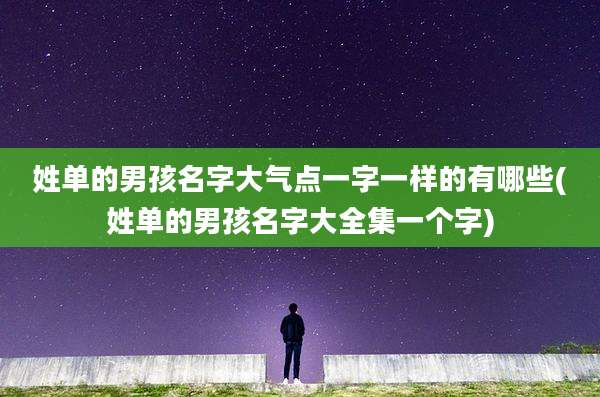 姓单的男孩名字大气点一字一样的有哪些(姓单的男孩名字大全集一个字)