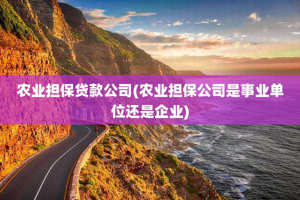 农业担保贷款公司(农业担保公司是事业单位还是企业)