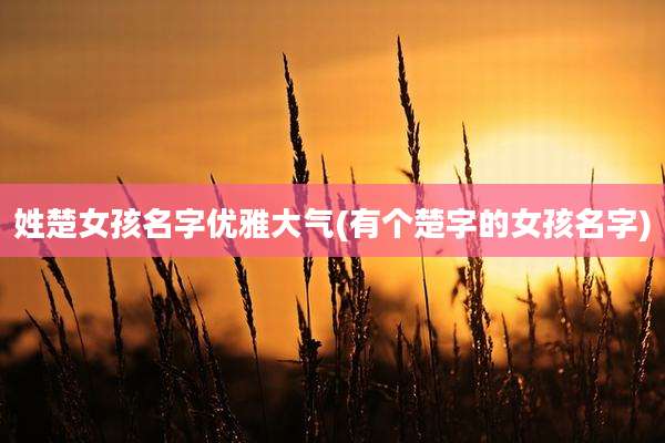 姓楚女孩名字优雅大气(有个楚字的女孩名字)