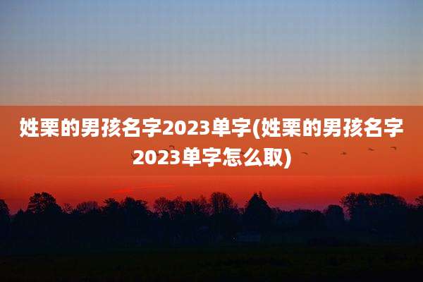 姓栗的男孩名字2023单字(姓栗的男孩名字2023单字怎么取)