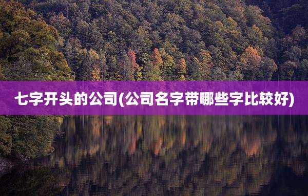 七字开头的公司(公司名字带哪些字比较好)
