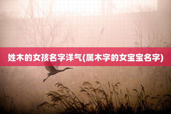 姓木的女孩名字洋气(属木字的女宝宝名字)