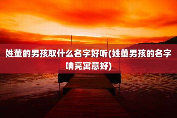 姓董的男孩取什么名字好听(姓董男孩的名字响亮寓意好)