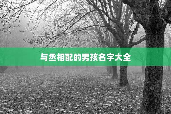 与丞相配的男孩名字大全