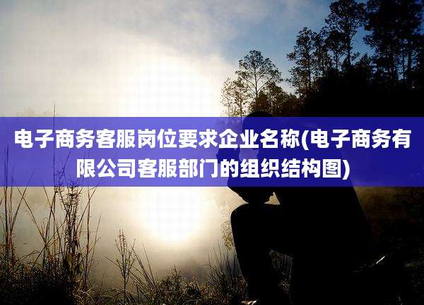 电子商务客服岗位要求企业名称(电子商务有限公司客服部门的组织结构图)