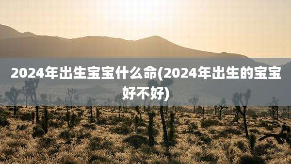 2024年出生宝宝什么命(2024年出生的宝宝好不好)