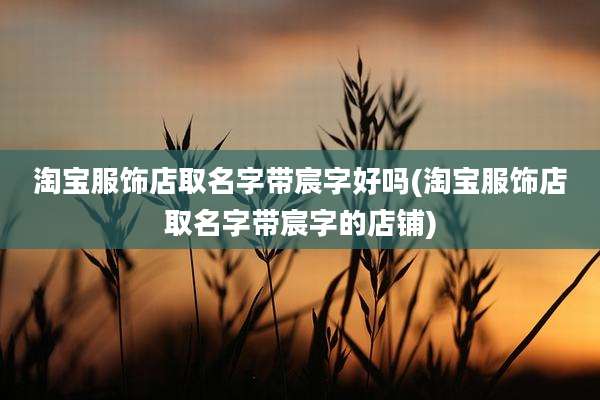 淘宝服饰店取名字带宸字好吗(淘宝服饰店取名字带宸字的店铺)