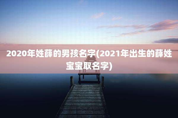 2020年姓薛的男孩名字(2021年出生的薛姓宝宝取名字)