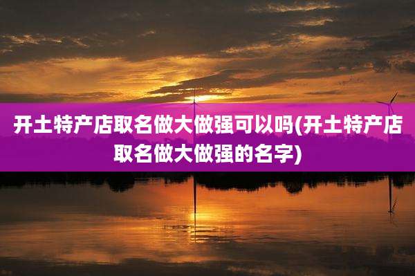 开土特产店取名做大做强可以吗(开土特产店取名做大做强的名字)