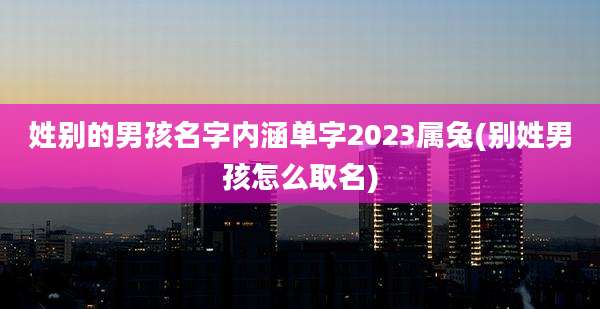 姓别的男孩名字内涵单字2023属兔(别姓男孩怎么取名)