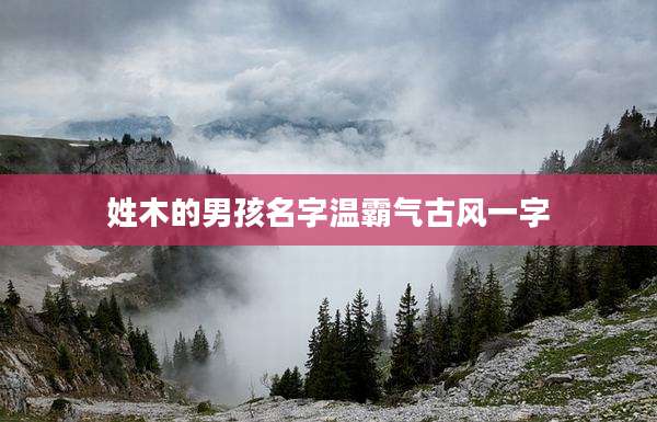 姓木的男孩名字温霸气古风一字
