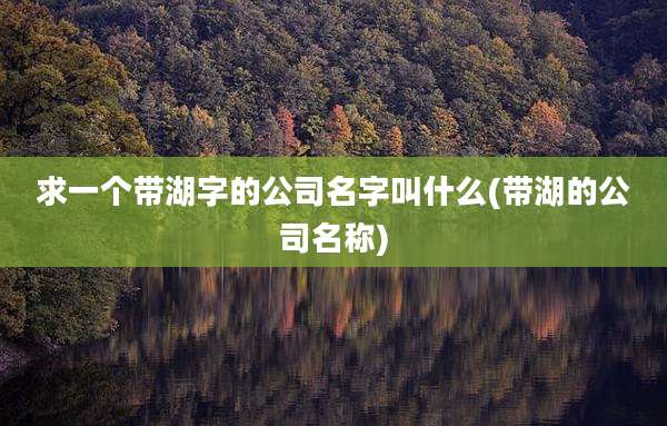 求一个带湖字的公司名字叫什么(带湖的公司名称)