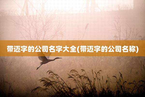 带迈字的公司名字大全(带迈字的公司名称)